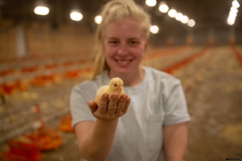 Nebraska farmer Hannah Borg holds a chick